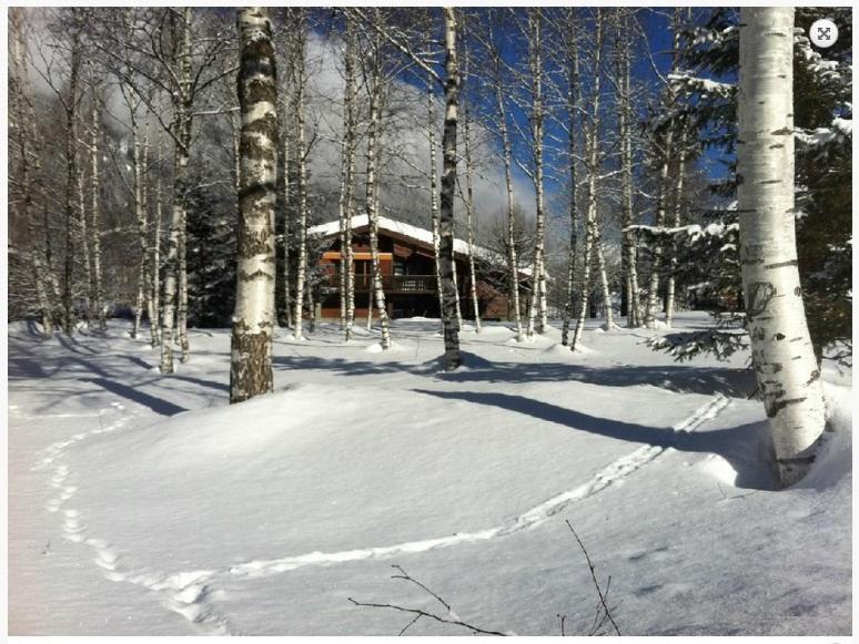 Chalet Champraz - Free Parking 霞慕尼 外观 照片