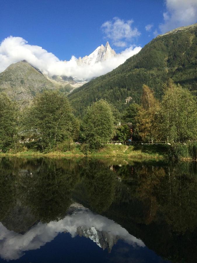 Chalet Champraz - Free Parking 霞慕尼 外观 照片