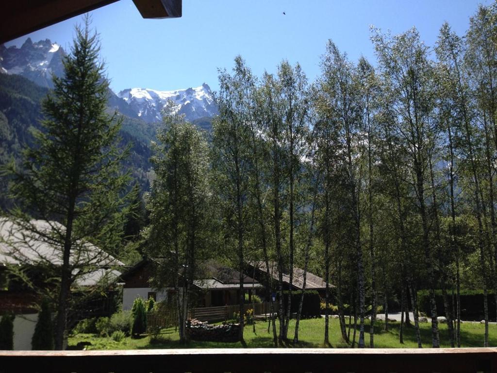 Chalet Champraz - Free Parking 霞慕尼 外观 照片