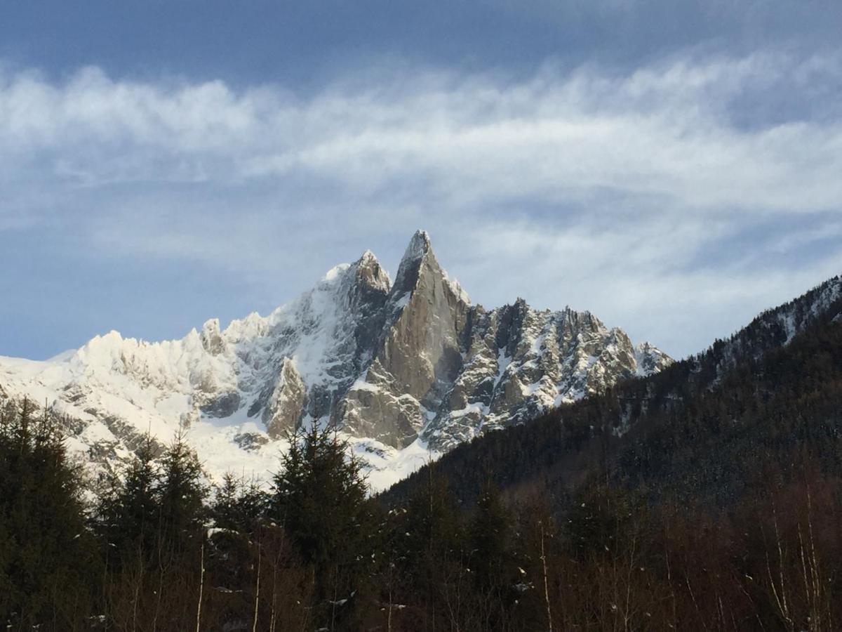 Chalet Champraz - Free Parking 霞慕尼 外观 照片